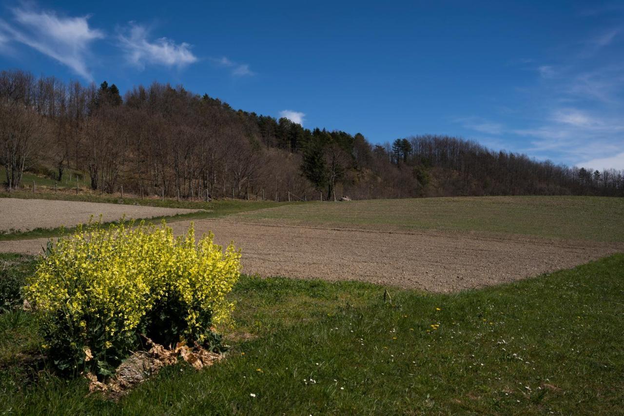 028 - Agriturismo "Il Boschetto" Con Piscina, Pace E Natura - Camera Familiare Cavizzano Dış mekan fotoğraf