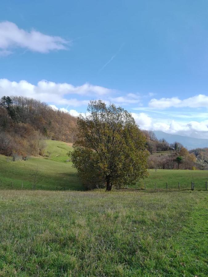 028 - Agriturismo "Il Boschetto" Con Piscina, Pace E Natura - Camera Familiare Cavizzano Dış mekan fotoğraf