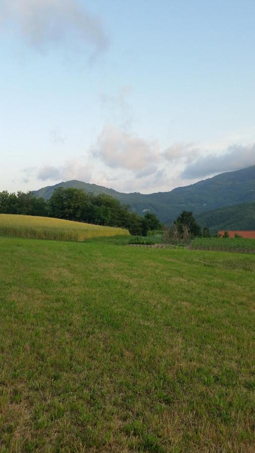028 - Agriturismo "Il Boschetto" Con Piscina, Pace E Natura - Camera Familiare Cavizzano Dış mekan fotoğraf